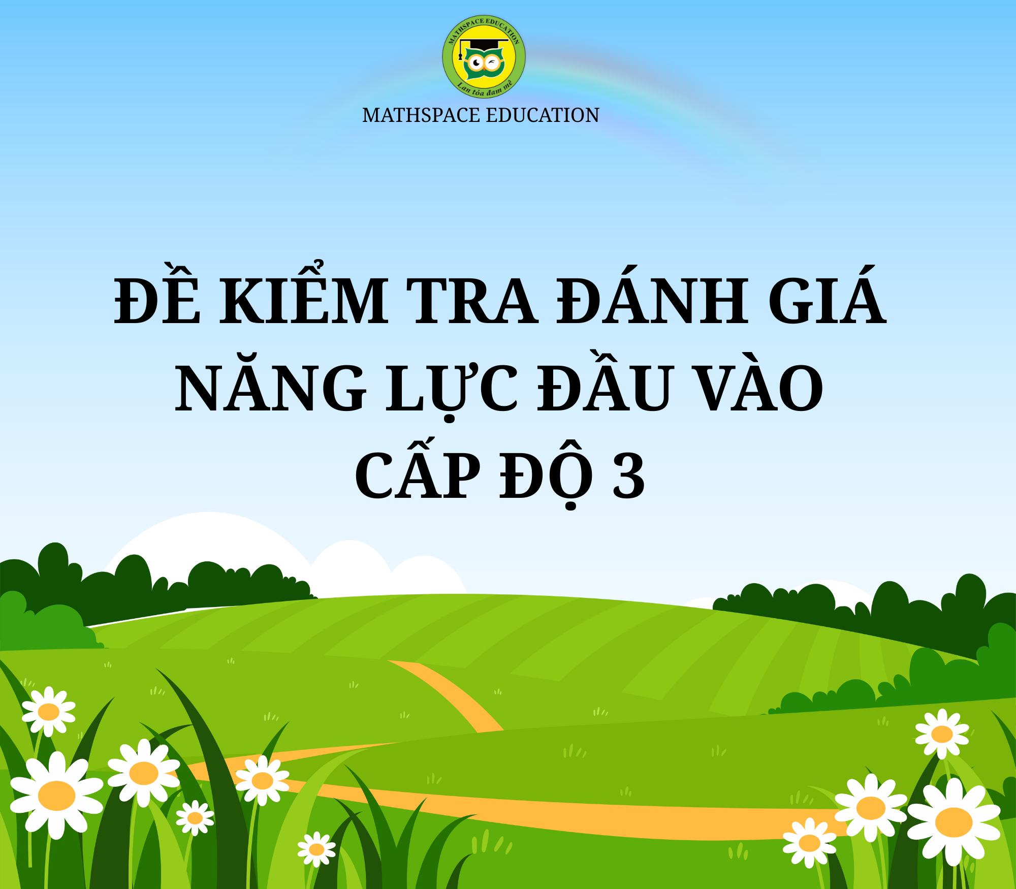 ĐỀ KIỂM TRA ĐÁNH GIÁ NĂNG LỰC ĐẦU VÀO CẤP ĐỘ 3 (SN 2017)